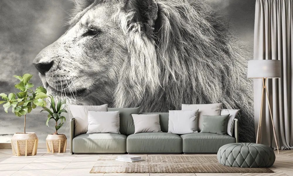 Tapet autoadeziv leul african în design alb-negru