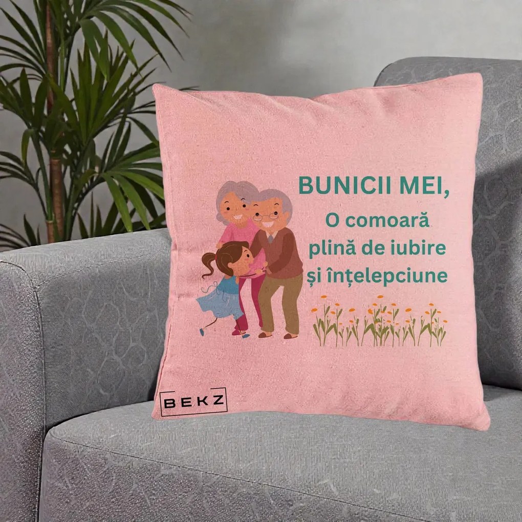Cadou pentru Bunici - Perna Personalizata Bunicii Mei Comoara Iubire Intelepciune Nepoata, 40x40 cm, Roz, Husa Detasabila, Perna Inclusa, BEKZ®