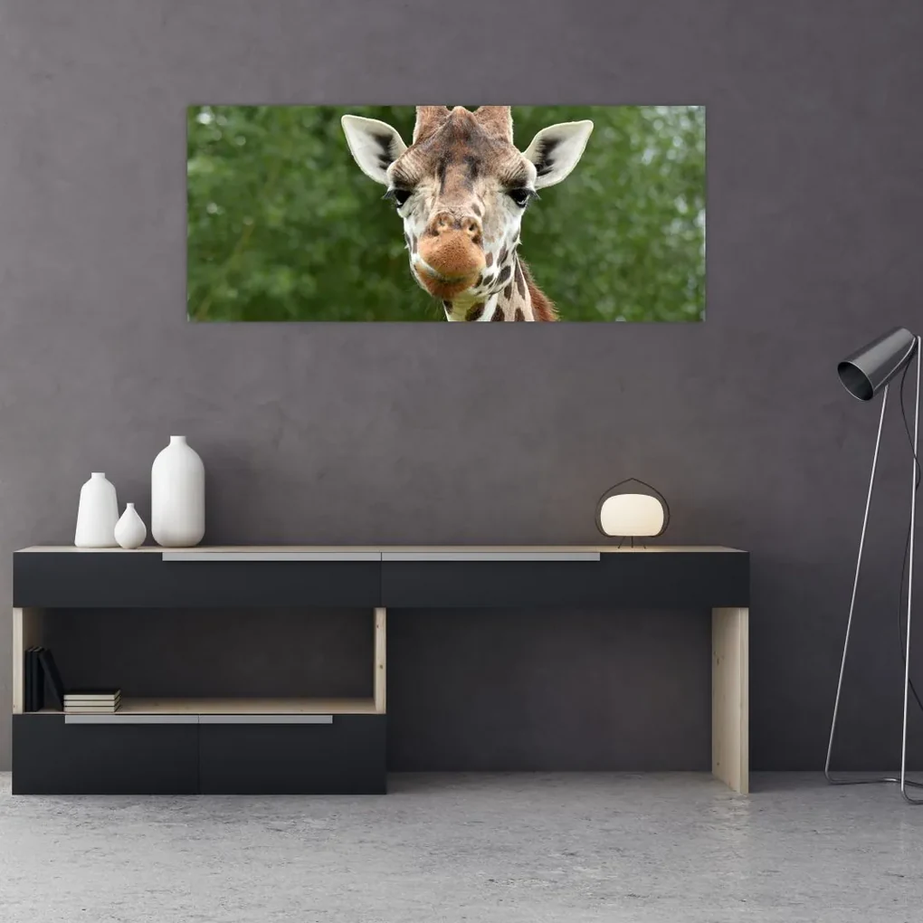 Tablou cu girafa (120x50 cm), în 40 de alte dimensiuni noi