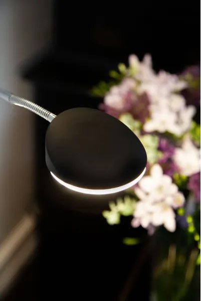 Halo Design 716067 - Lampă de podea LED dimabilă VEGAS LED/20W/230V + LED/5W, negru/crom