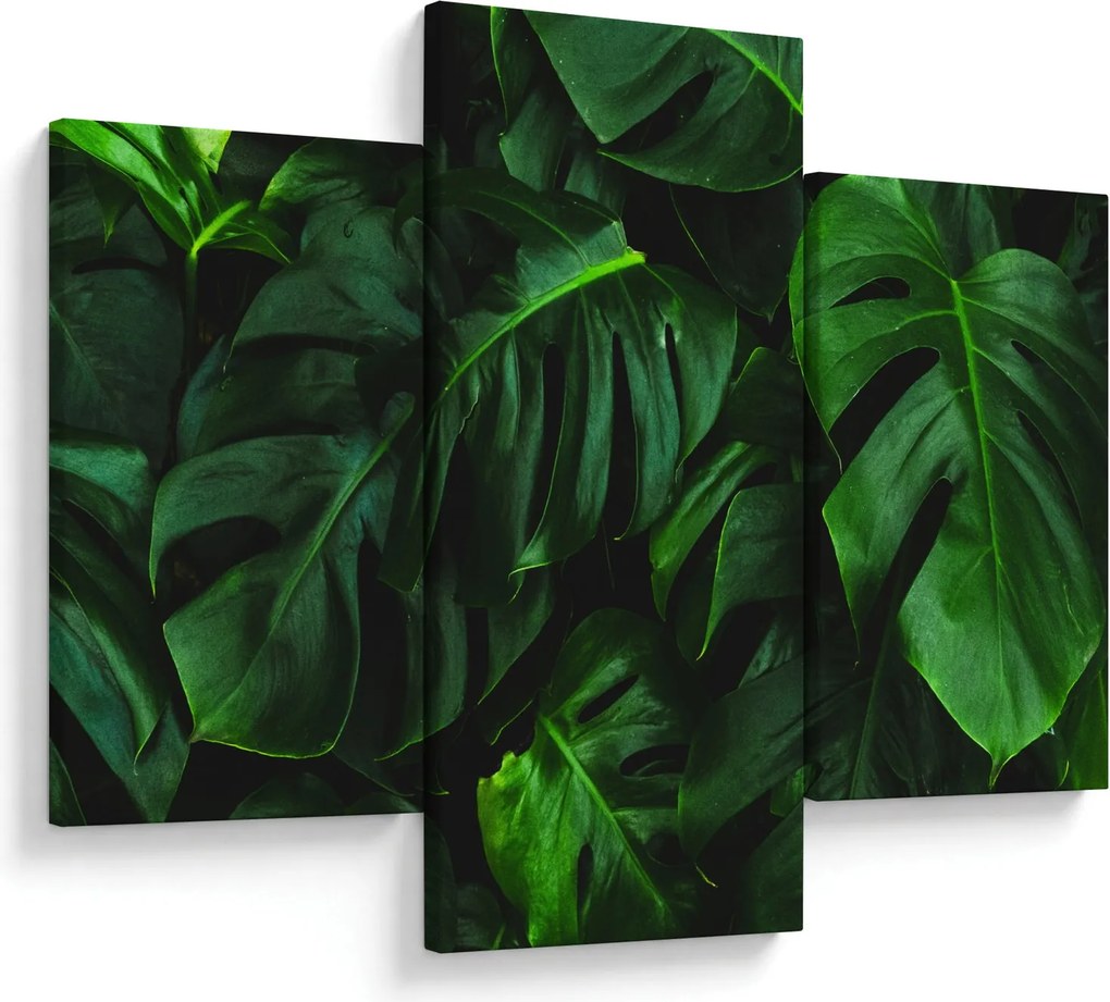 Tablou cu frunze Monstery (90x60 cm)