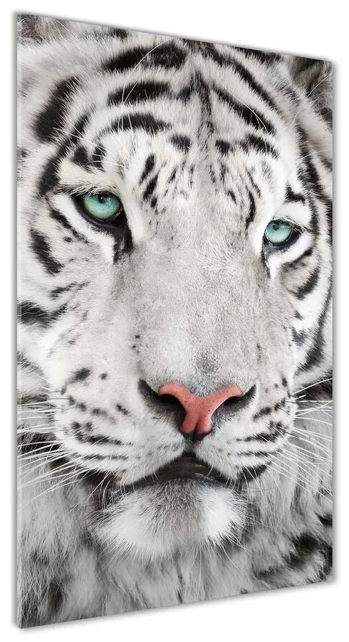 Fotografie imprimată pe sticlă Tigru alb