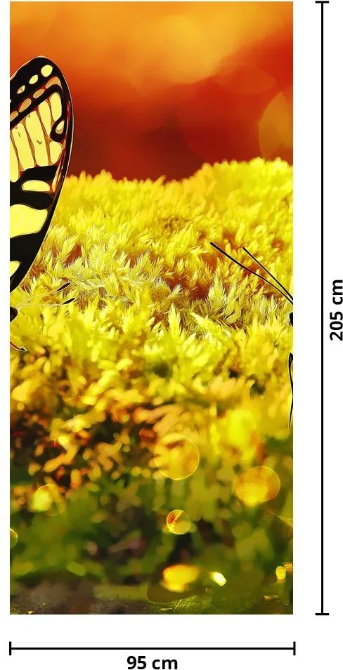 Fototapet pentru ușă - Fluturi (95x205cm)