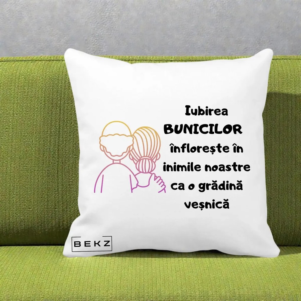 Cadou pentru Bunici - Perna Personalizata Iubirea Bunicilor Infloreste Cuplu Line Art Gradient, 40x40 cm, Alba Mata, Husa Detasabila, Perna Inclusa, BEKZ®