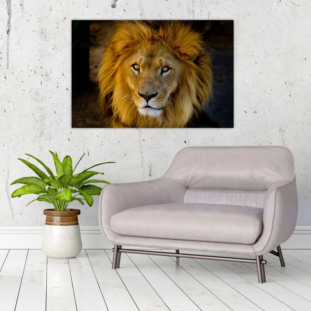 Tablou - Portret de leu (90x60 cm)