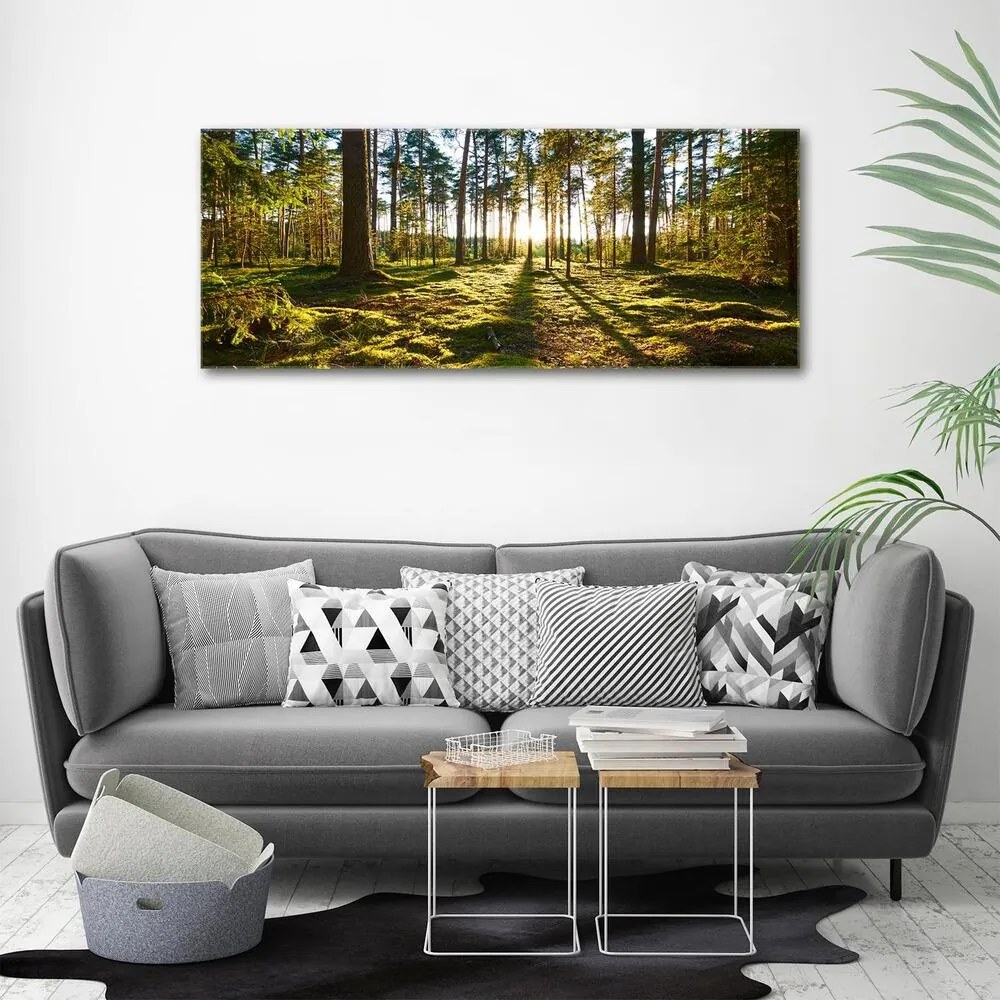 Tablou pe pânză canvas O pădure de pini