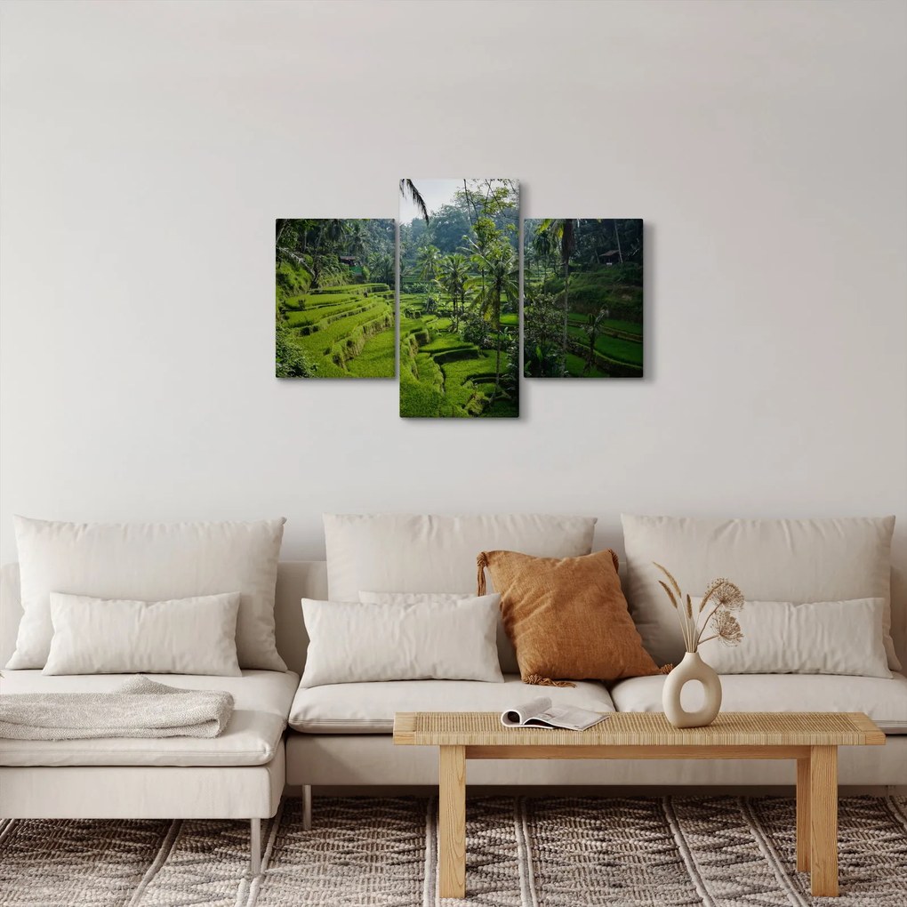 Tablou cu terasele cu orez Tegalalang, Bali (90x60 cm)