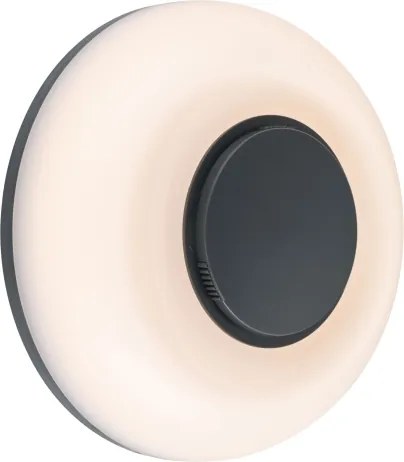 Paulmann 94955 - LED/20,5W IP65 Aplică de perete pentru exterior reglabilă AUREVA 230V