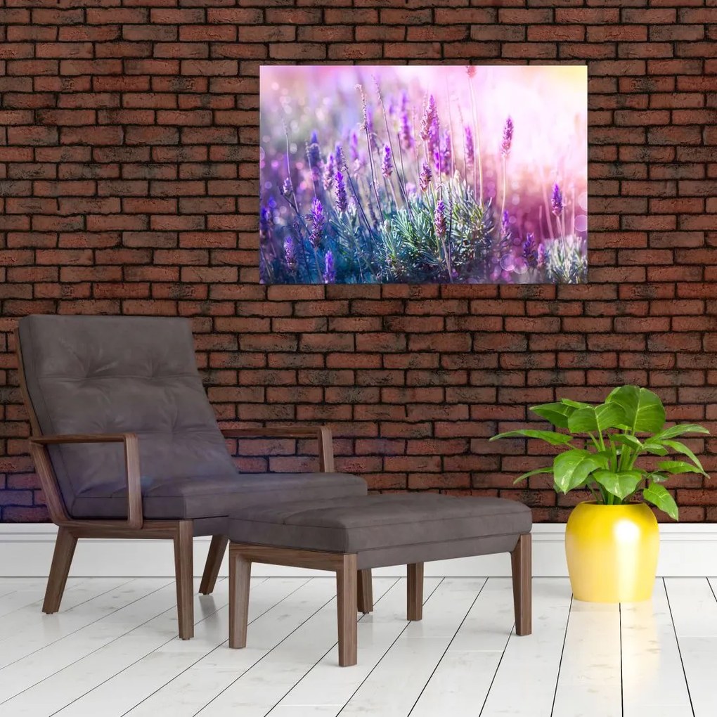 Tablou - Lavandă în strălucirea soarelui (90x60 cm)