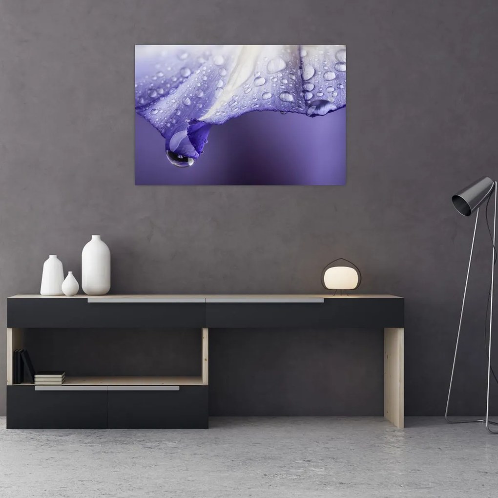 Tablou - Petală cu picături (90x60 cm)