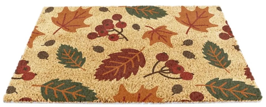 Covoraș de intrare din fibre de nucă de cocos 40x60 cm Autumn Leaves – Artsy Doormats