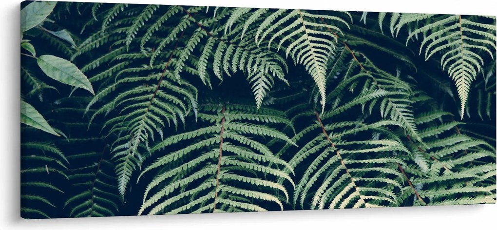 Tablou cu frunze de ferigă (120x50 cm)