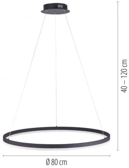 Lustră LED dimabilă pe cablu TITUS LED/50W/230V Paul Neuhaus 2383-13