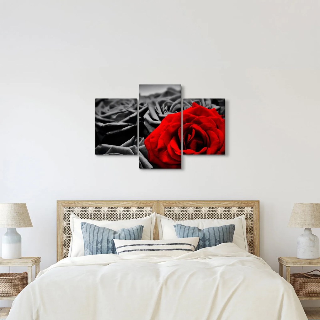 Tablou - Trandafir (90x60 cm)