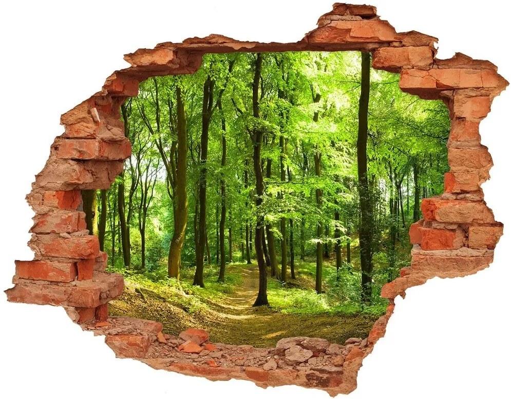 Fototapet 3D gaură în perete Drum forestier