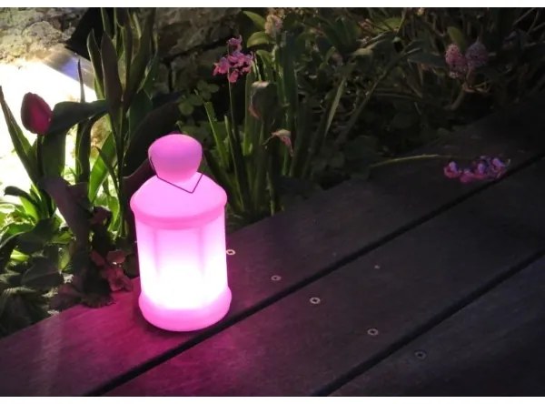 Lucide 13809/20/61 - Lampa de masa LED exterior TOBY-LED 1xLED/1W/230V