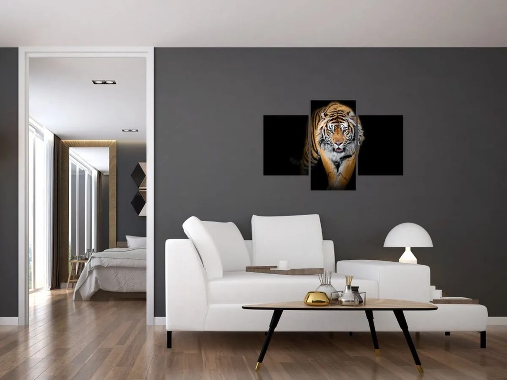 Tablou - Tiger (90x60 cm)