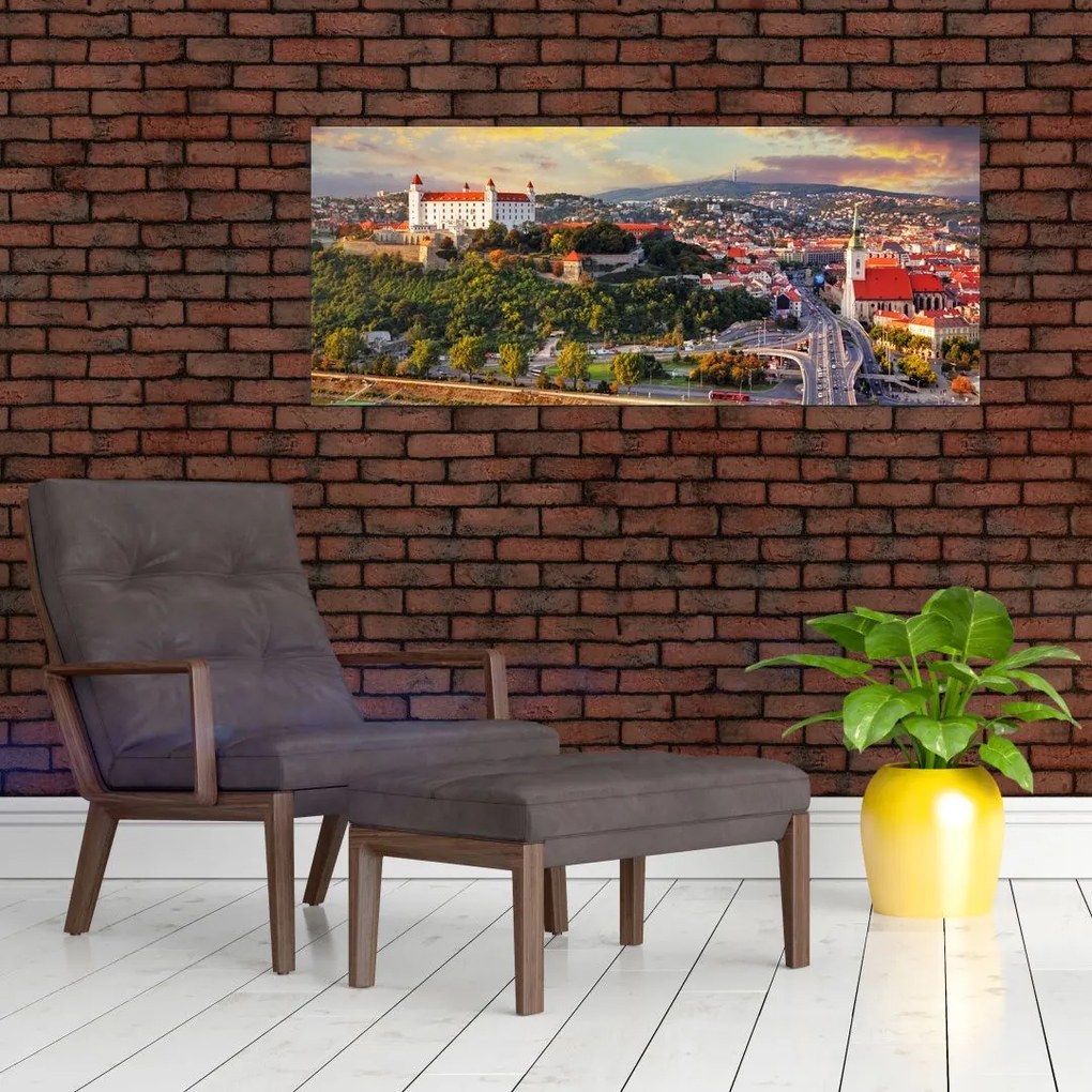 Tablou - Panorama bratislavei, Slovacia (120x50 cm)