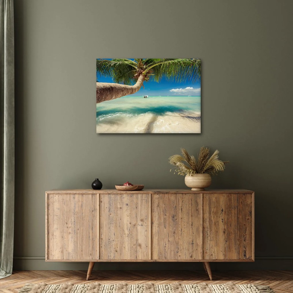 Tablou - Mare curată cu palmier (70x50 cm)