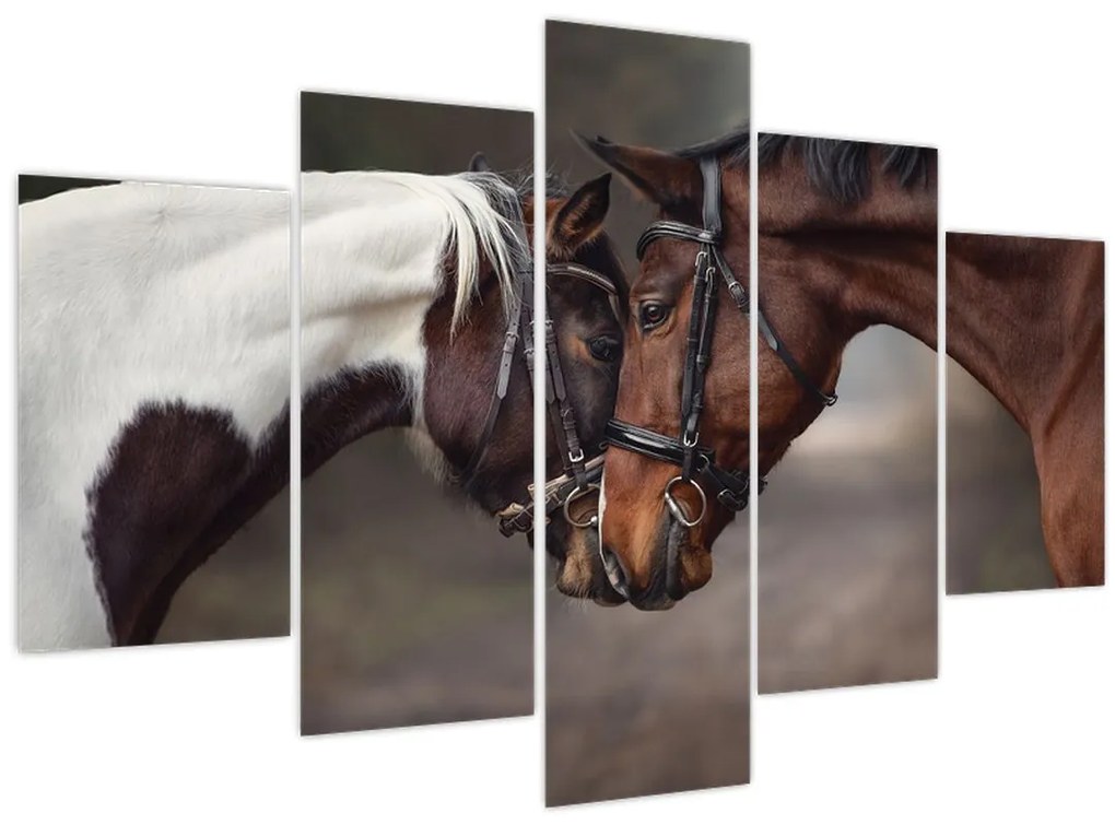 Tablou - Cai îndrăgostiți (150x105 cm)