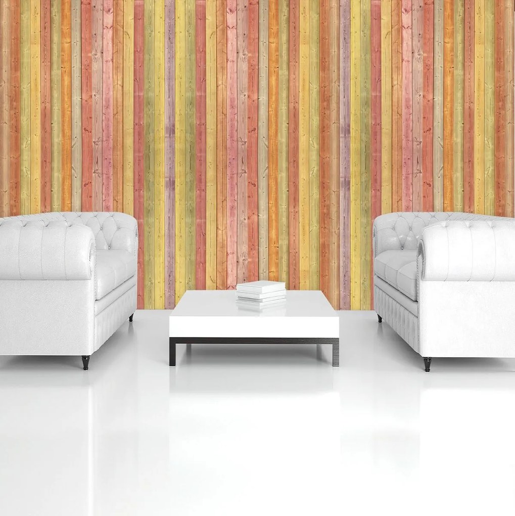 Fototapet - Textura - Scăndura colorată (152,5x104 cm)