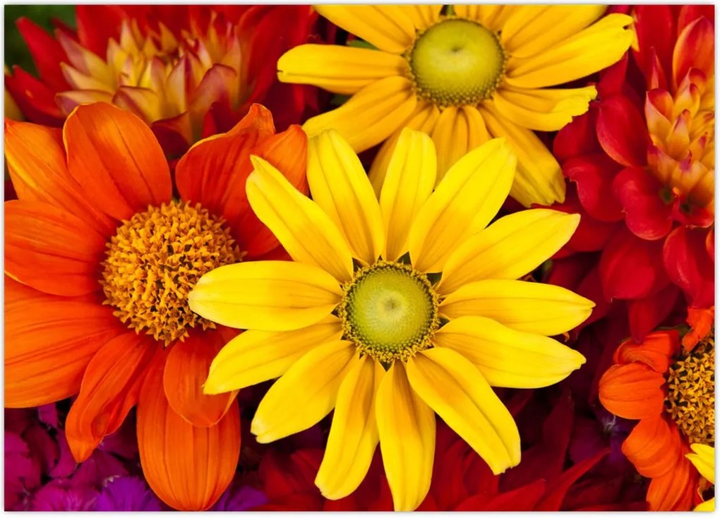 Tablou cu floare (70x50 cm)