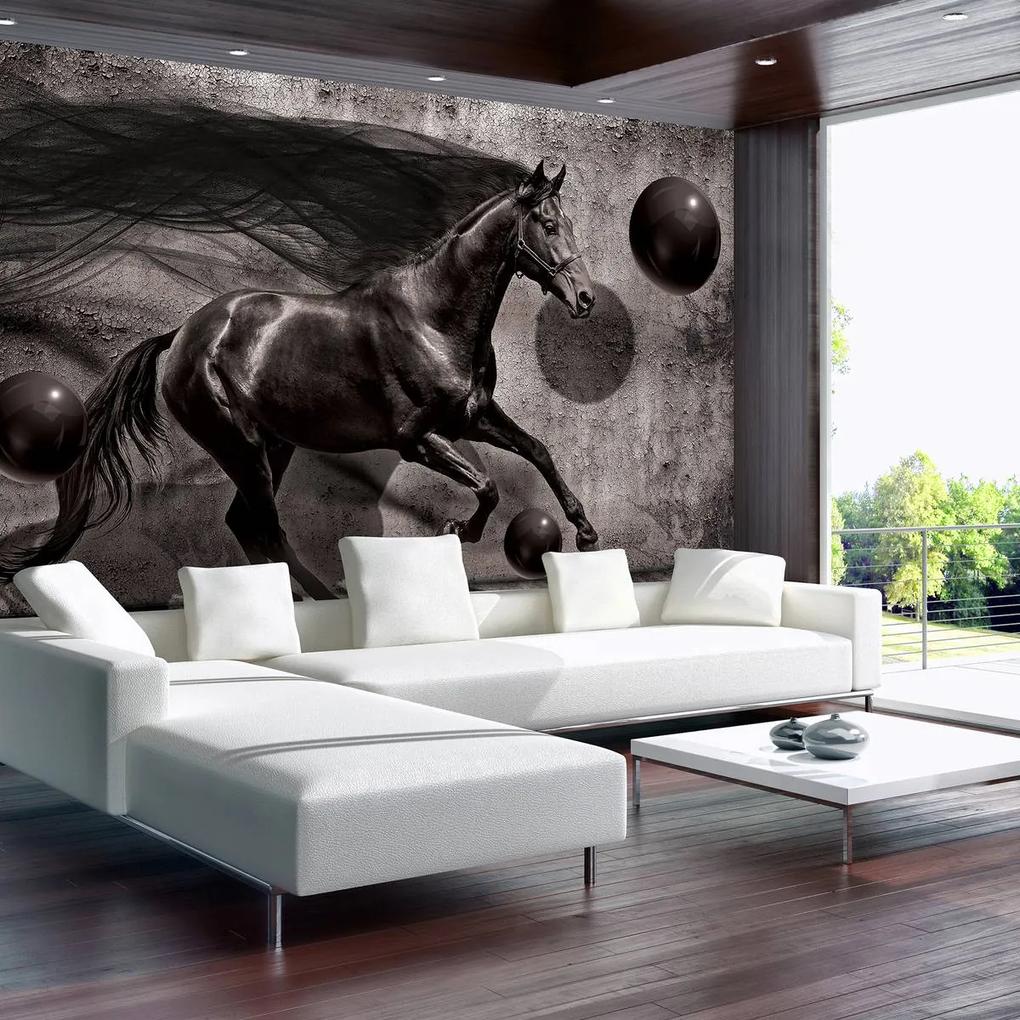 Fototapet - Calul negru (152,5x104 cm), în 8 de alte dimensiuni noi