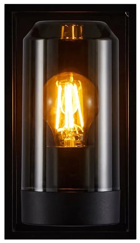 Aplica de perete exterior IP44 design modern Griffin Smoked