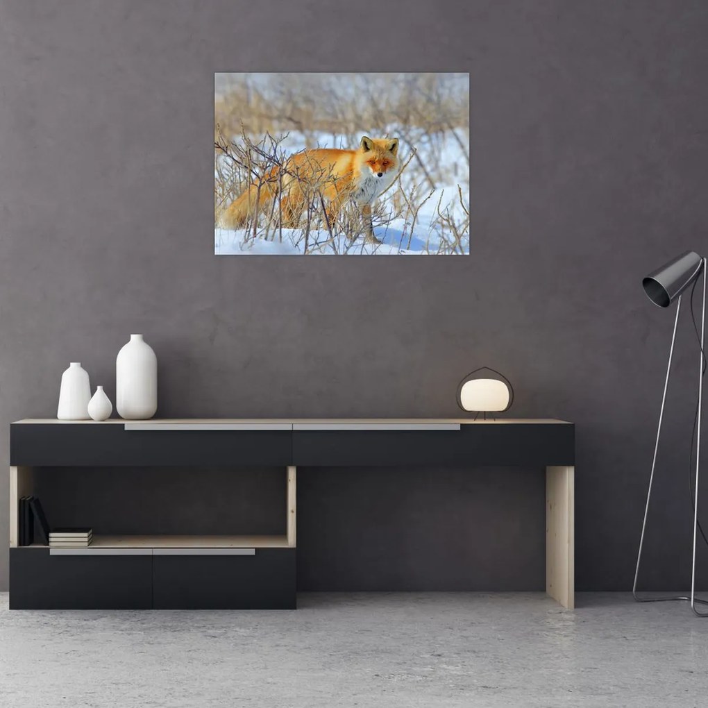 Tablou - Vulpe (70x50 cm)