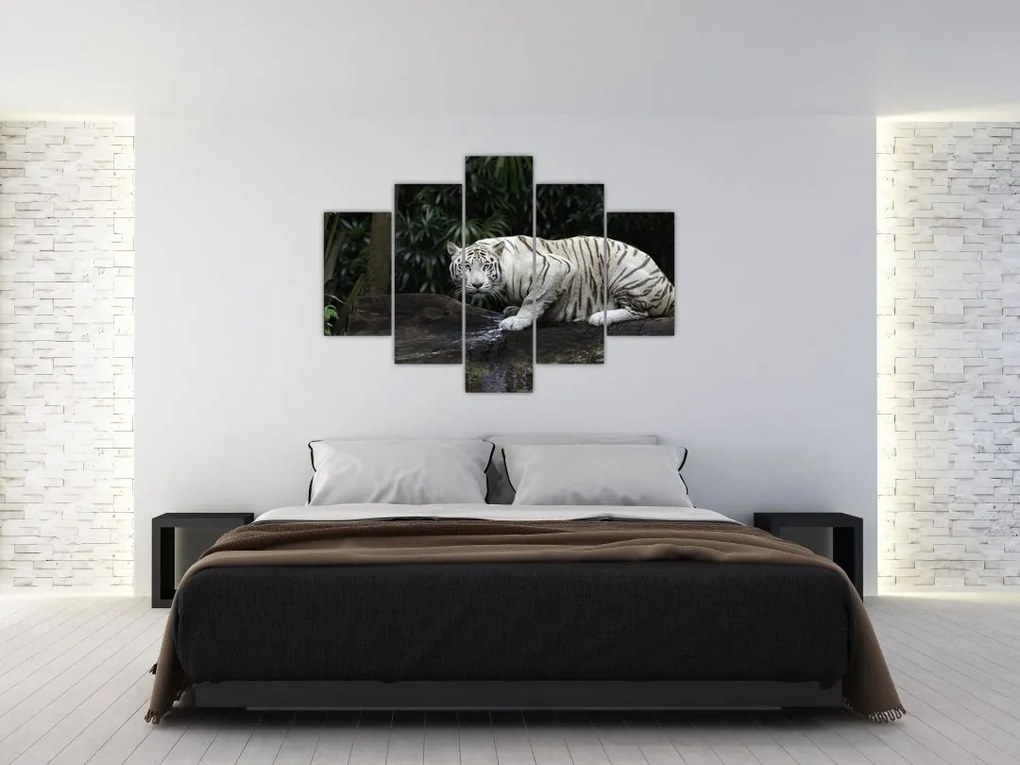 Tablou - Tigru alb (150x105 cm)