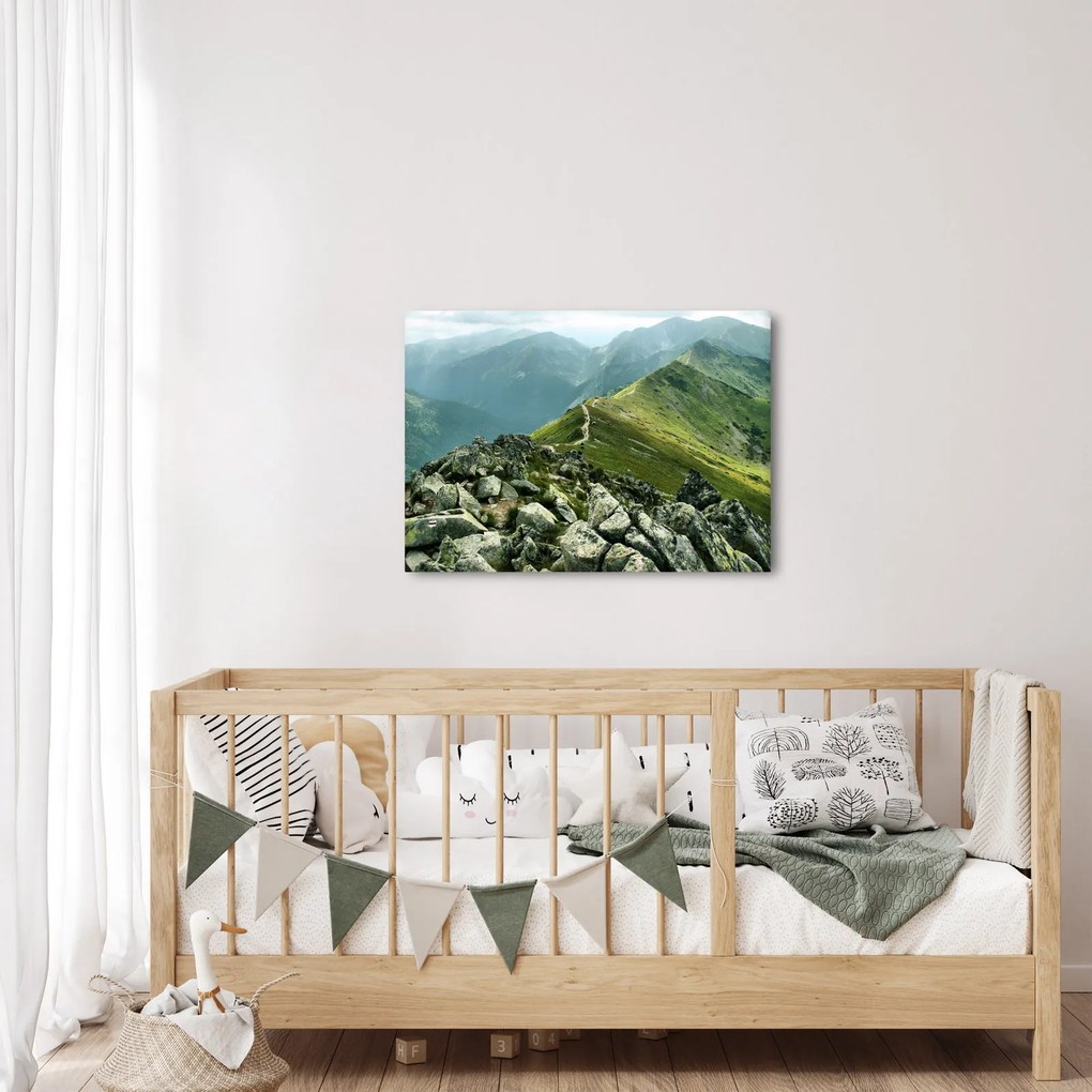 Tablou - Peisaj montan (70x50 cm)