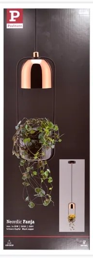 Lustră pe cablu Paulmann 79749 1xGU10/20W FANJA 230V