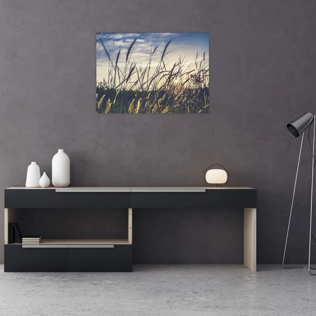 Tablou pe sticlă cu flori de câmp (70x50 cm)