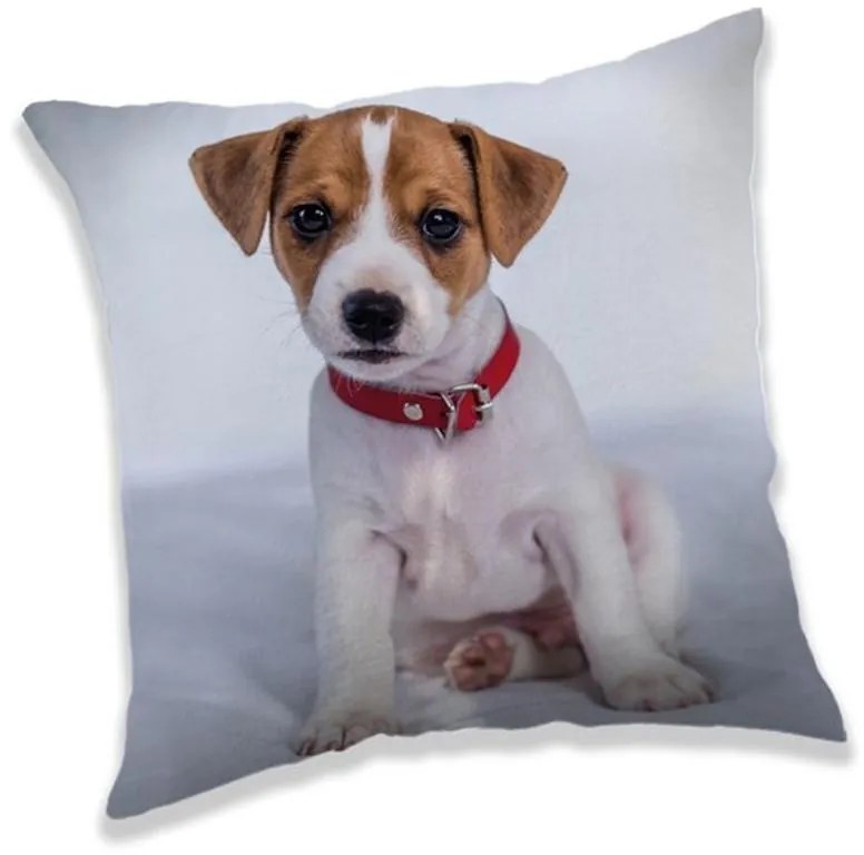 Câine pernă decorativă 40*40 cm