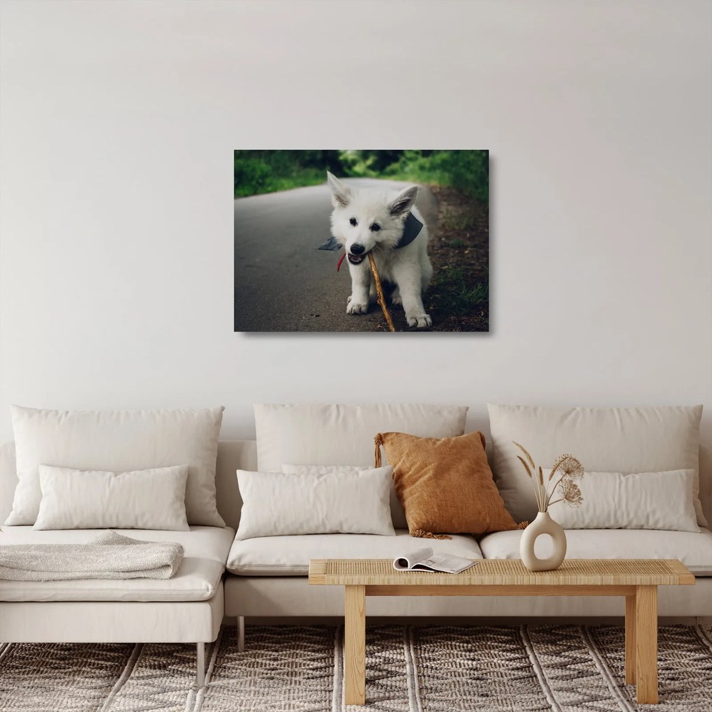 Tablou pe sticlă cu câinele alb (70x50 cm)