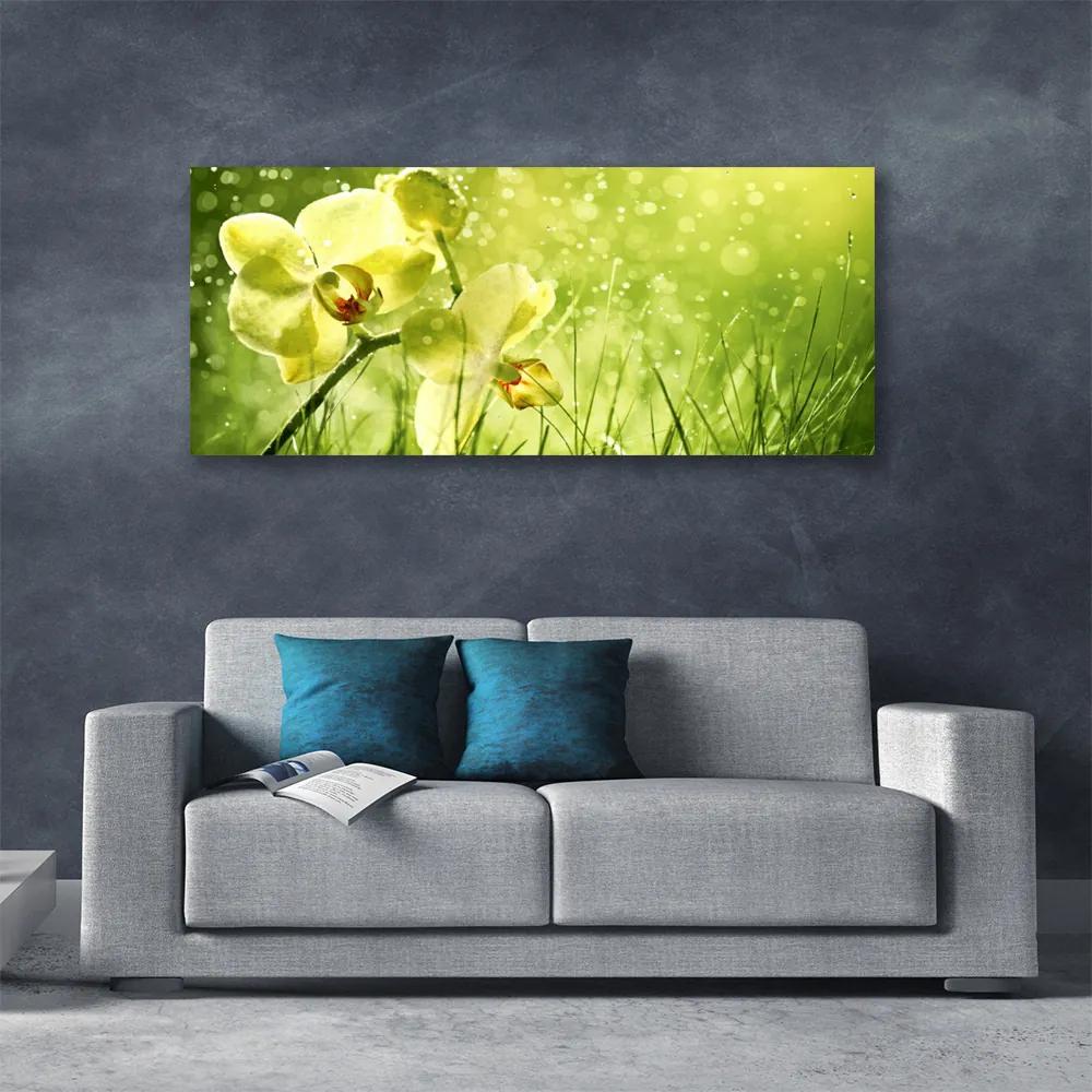 Tablou pe panza canvas Iarbă Flori Floral Verde