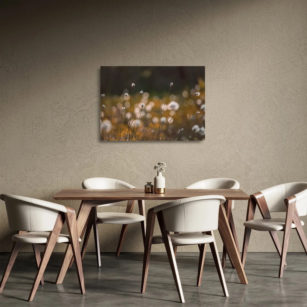 Tablou pe sticlă - Pajiște cu iarbă de cozonac N⁰2 (70x50 cm)