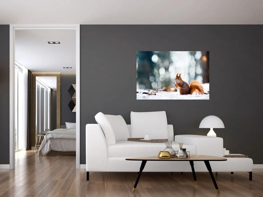 Tablou - Veveriță (90x60 cm)