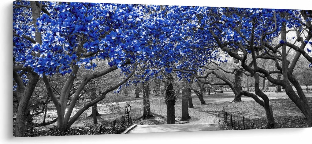 Tablou - Copaci albaștri Central Park, New York (120x50 cm)