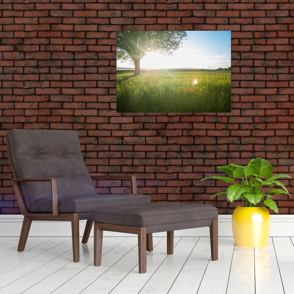 Tablou cu lunca în vară (70x50 cm)