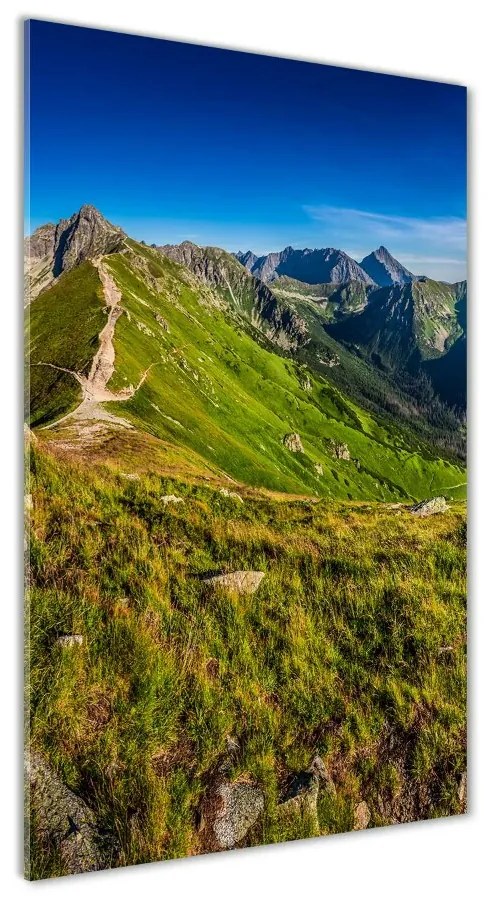 Tablou sticlă Tatry