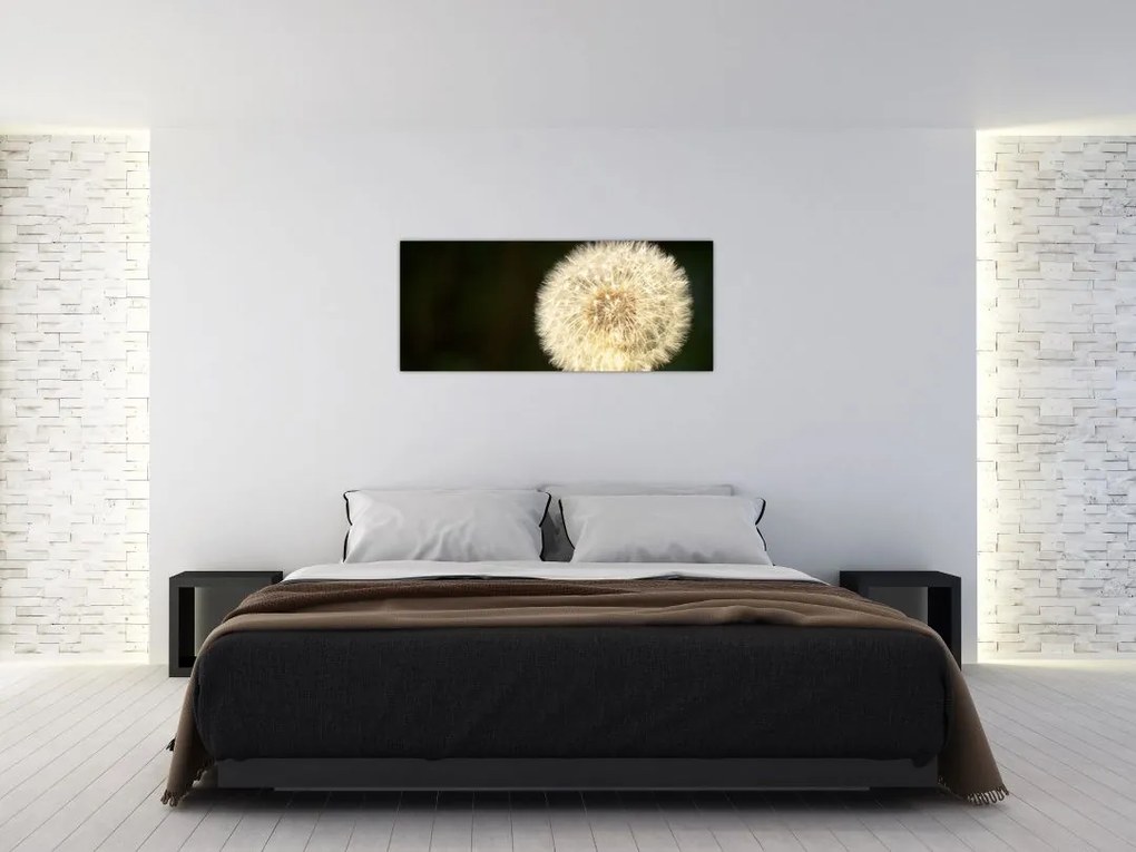 Tablou cu păpădie gri (120x50 cm)