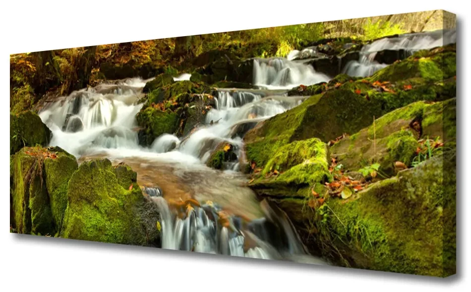 Tablou pe panza canvas Cascada Rocks Natura Alb Verde