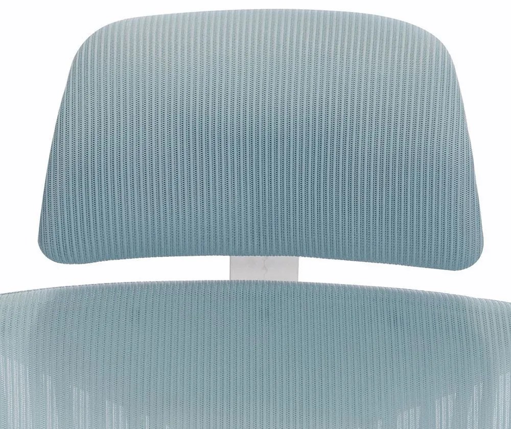 Scaun rotativ ergonomic de birou Ergomax, patină