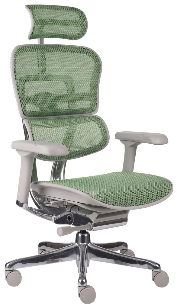 Scaun de birou Ergohuman 2 Elite GS Green