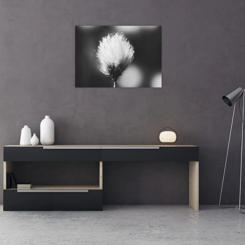 Tablou pe sticlă - Coțofană neagră și albă (70x50 cm)