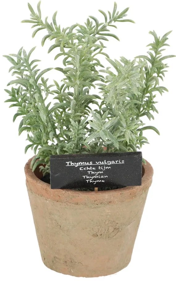 Plantă artificială (înălțime 21,5 cm) Thyme – Esschert Design