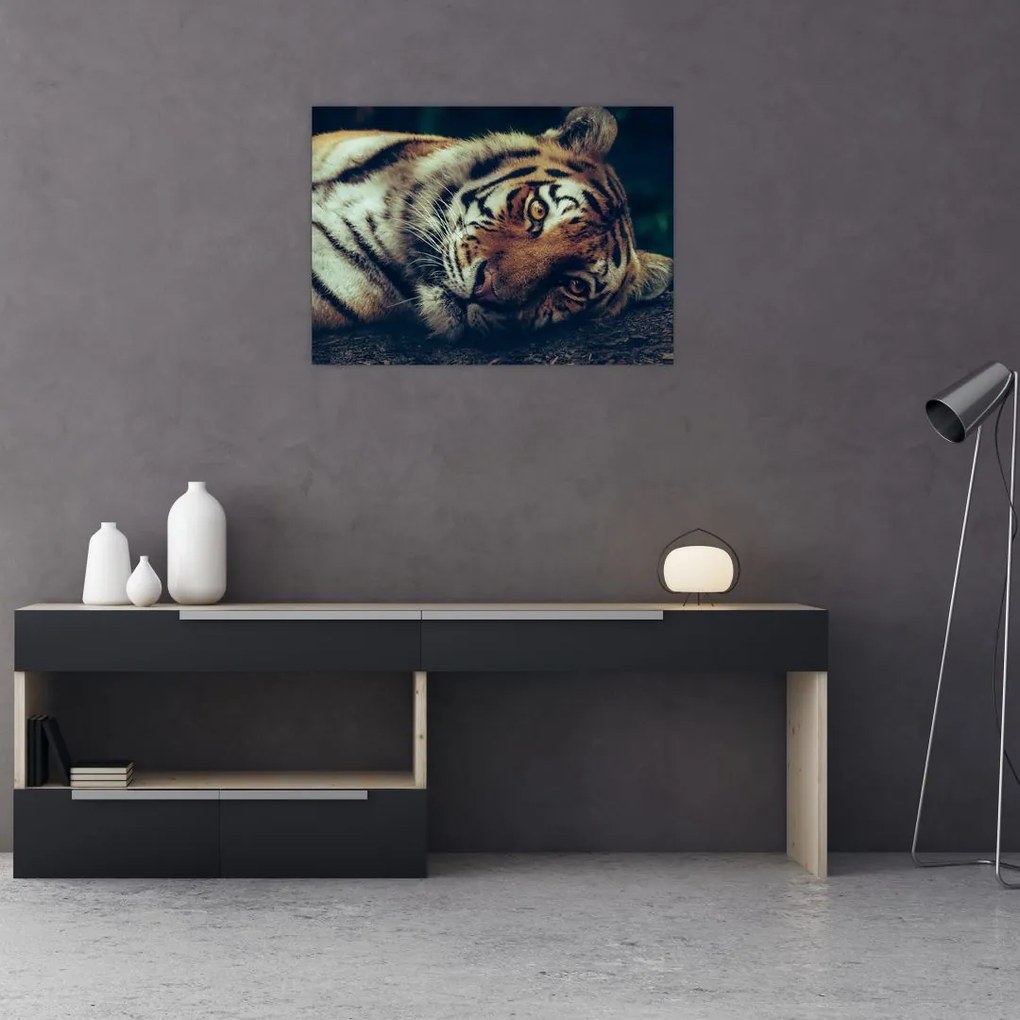 Tablou - Tigrul Siberian (70x50 cm)