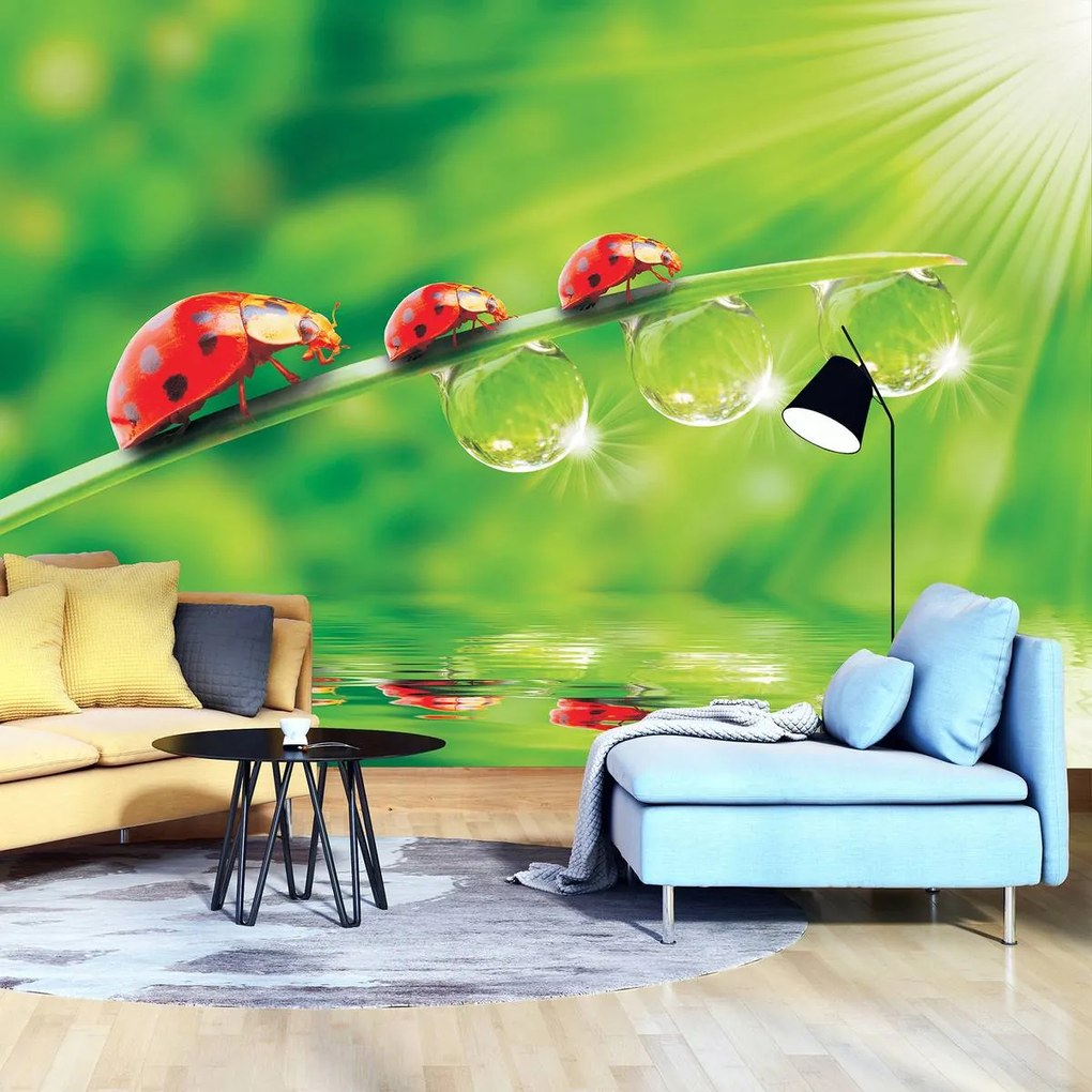 Fototapet - Flori (152,5x104 cm)