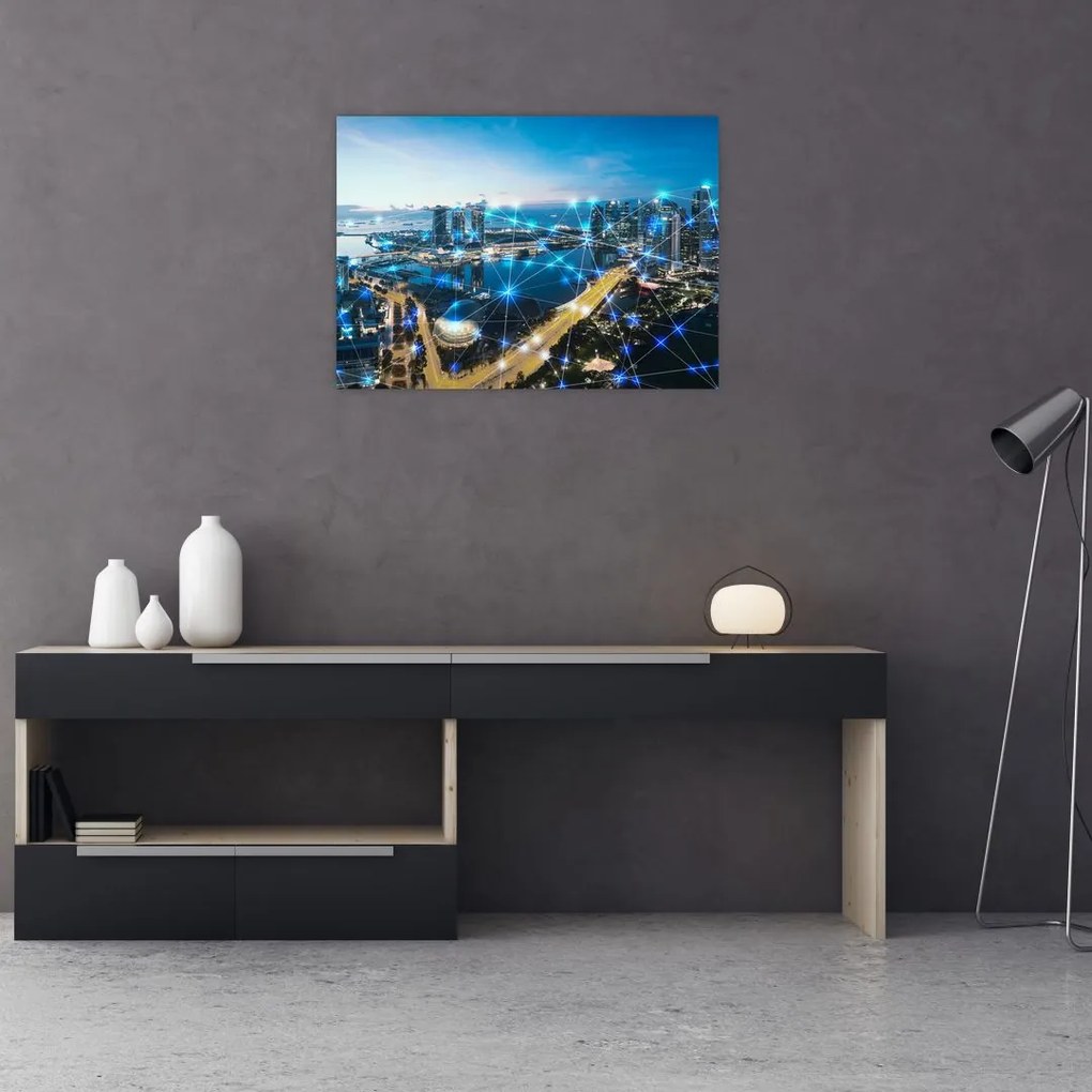 Tablou - Rețeaua orașului (70x50 cm)